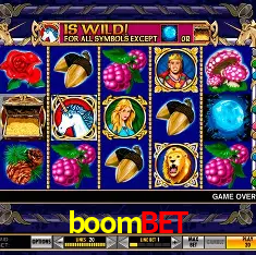 boombet Rio de Janeiro - Bonus Terms